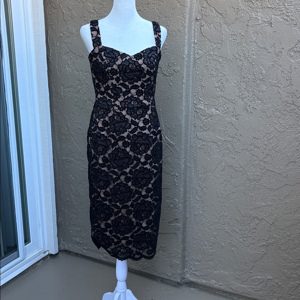 Dress the Population Classic sexy black lace on Tan lined bodice Dress